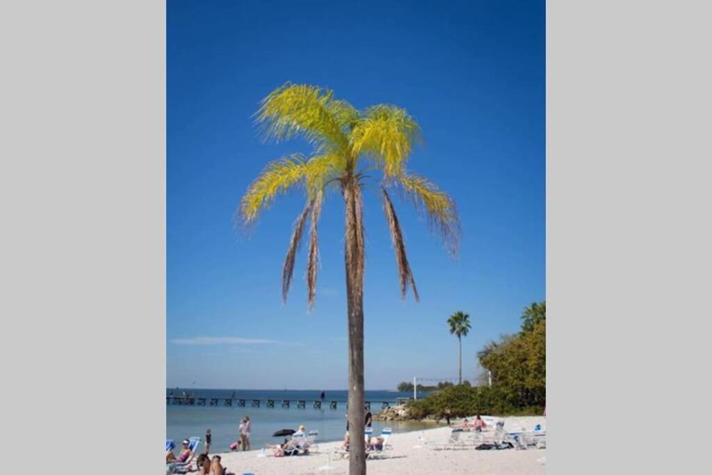 Riverview, Studio 507, Beach Steps Away!+Pool+Wifi Ruskin Extérieur photo